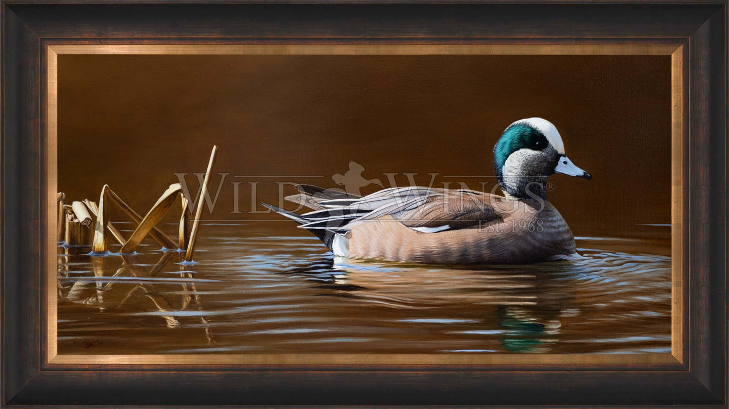 Framed duck in waters