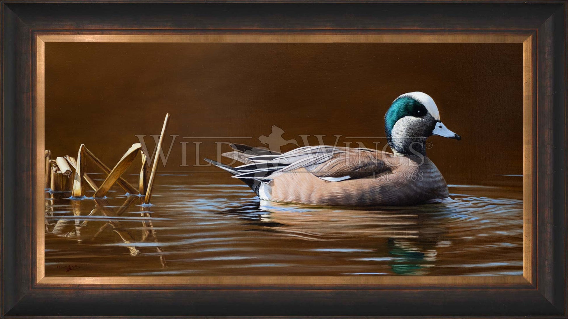 Framed duck in waters
