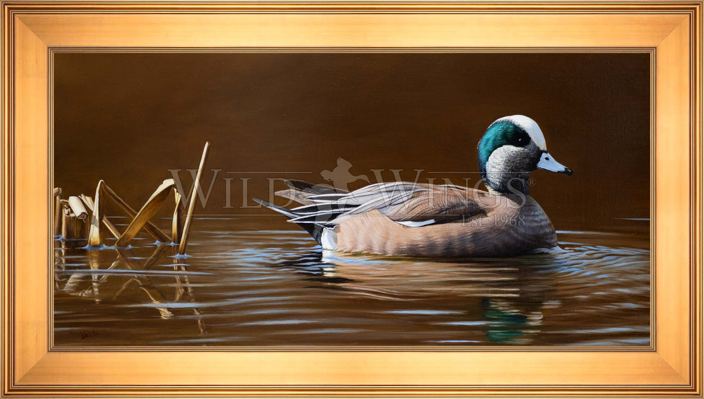 Framed duck in waters