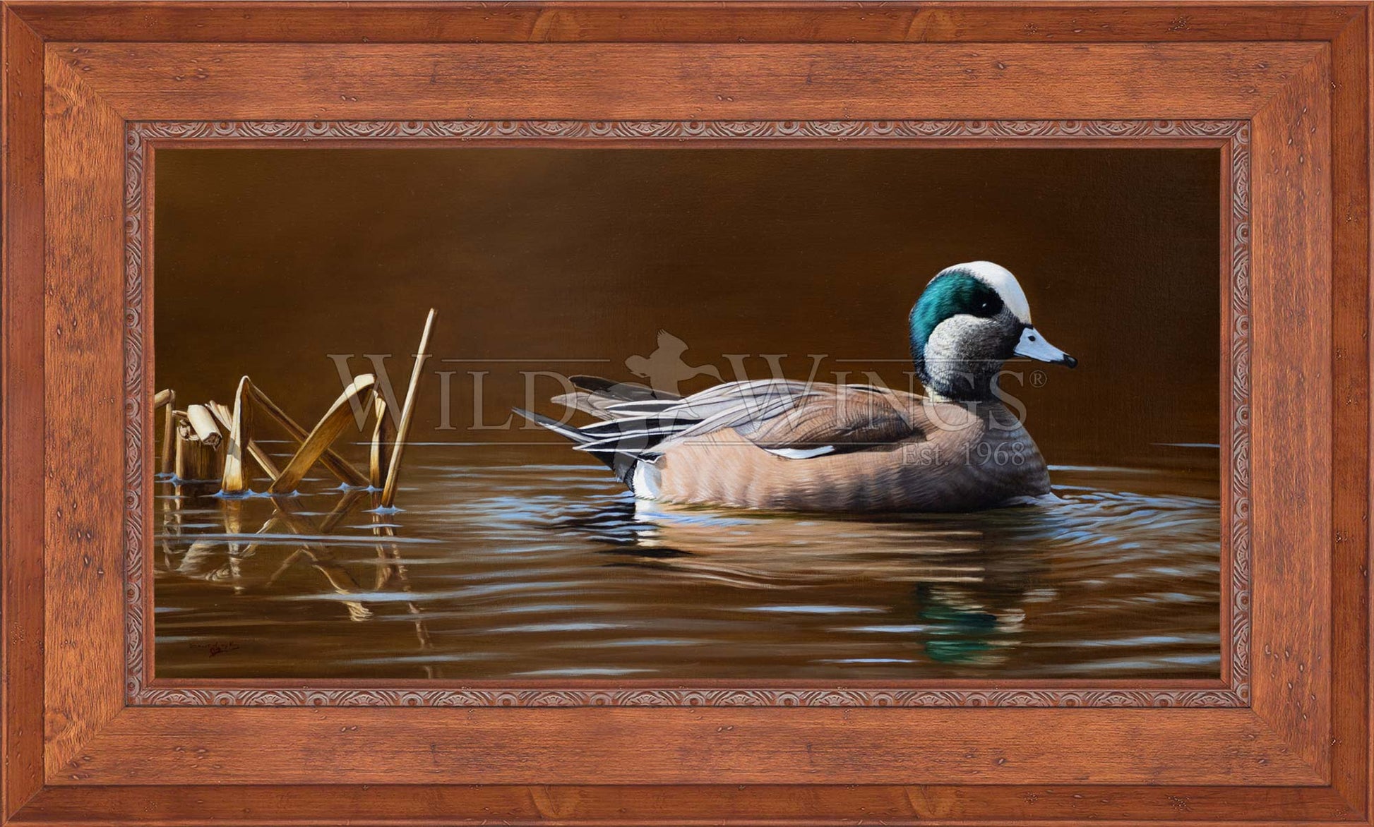 Framed duck in waters