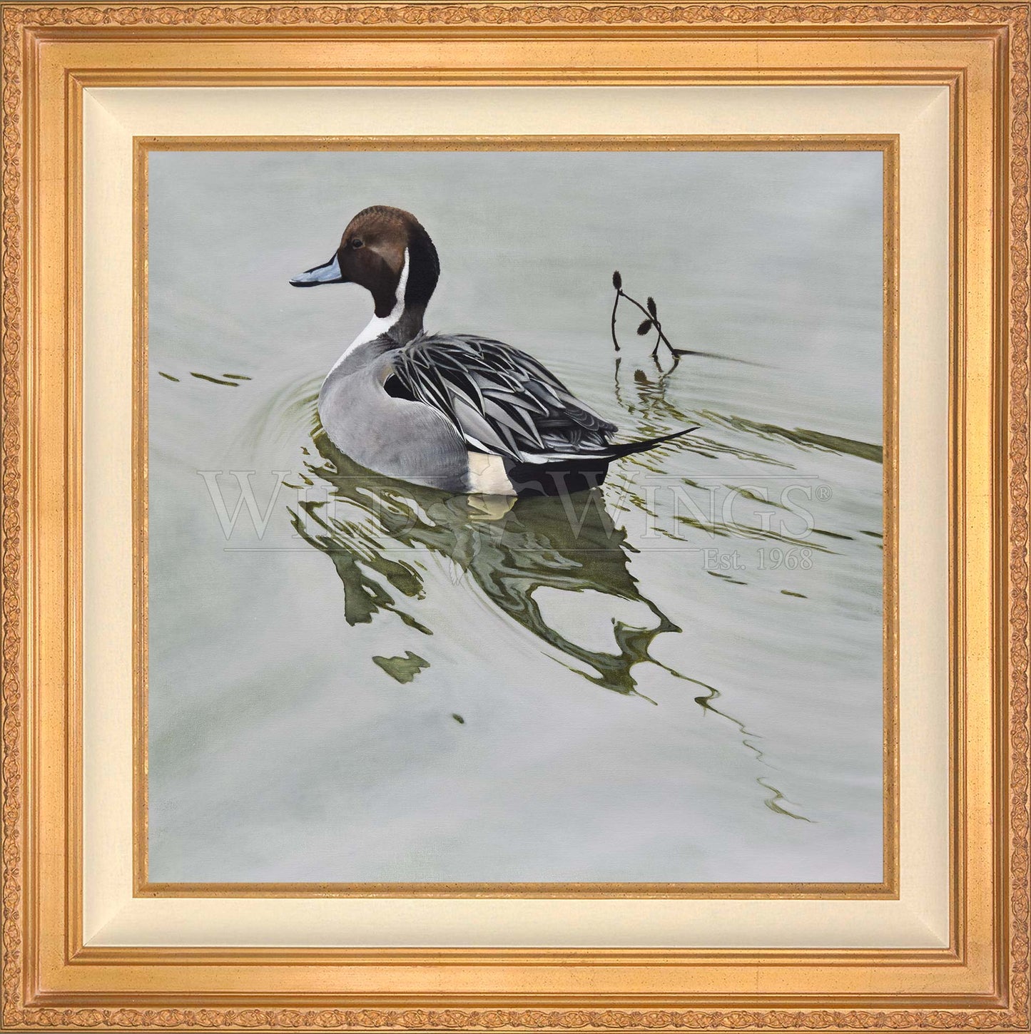 Framed duck in the river