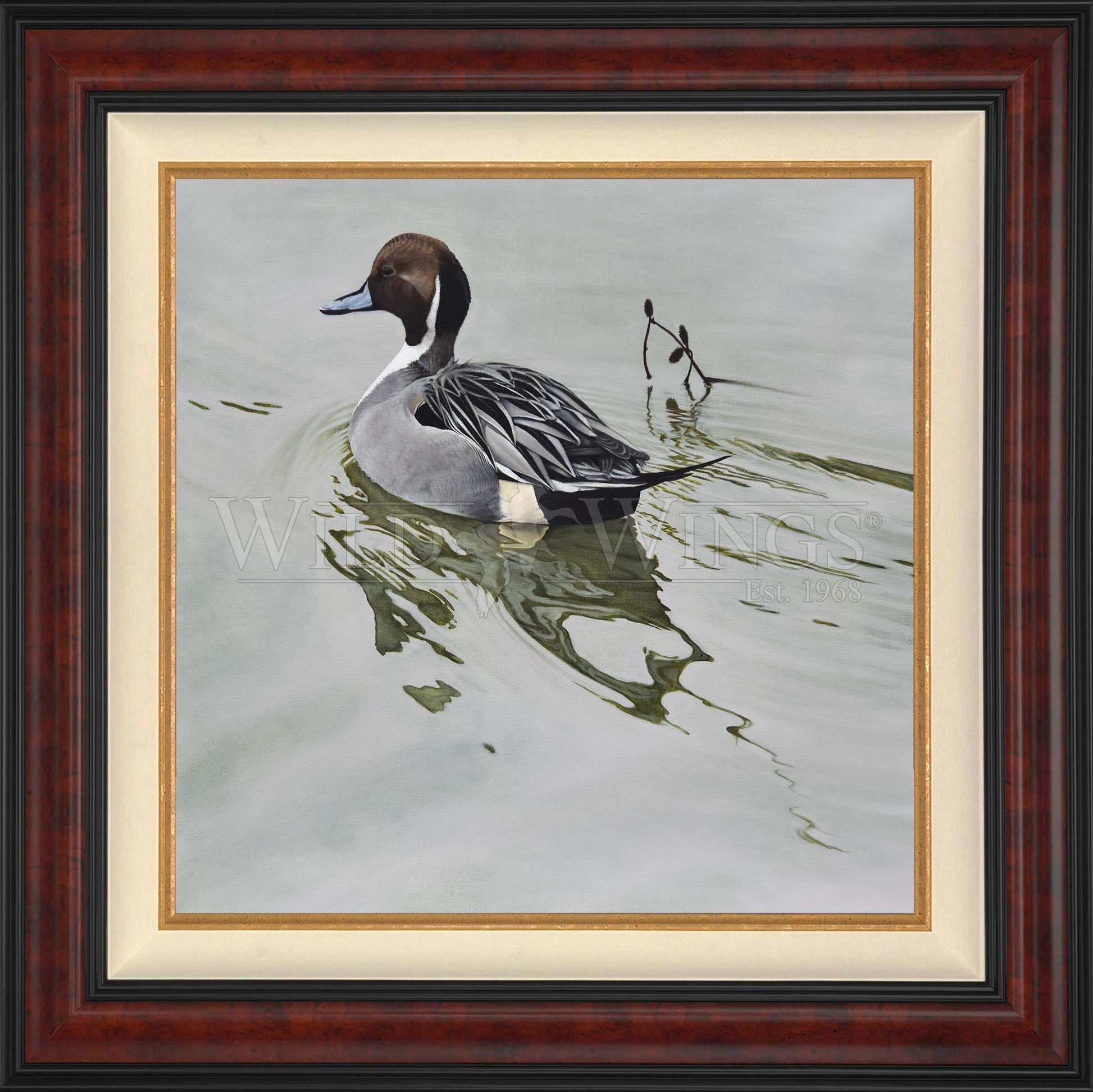 Framed duck in the river