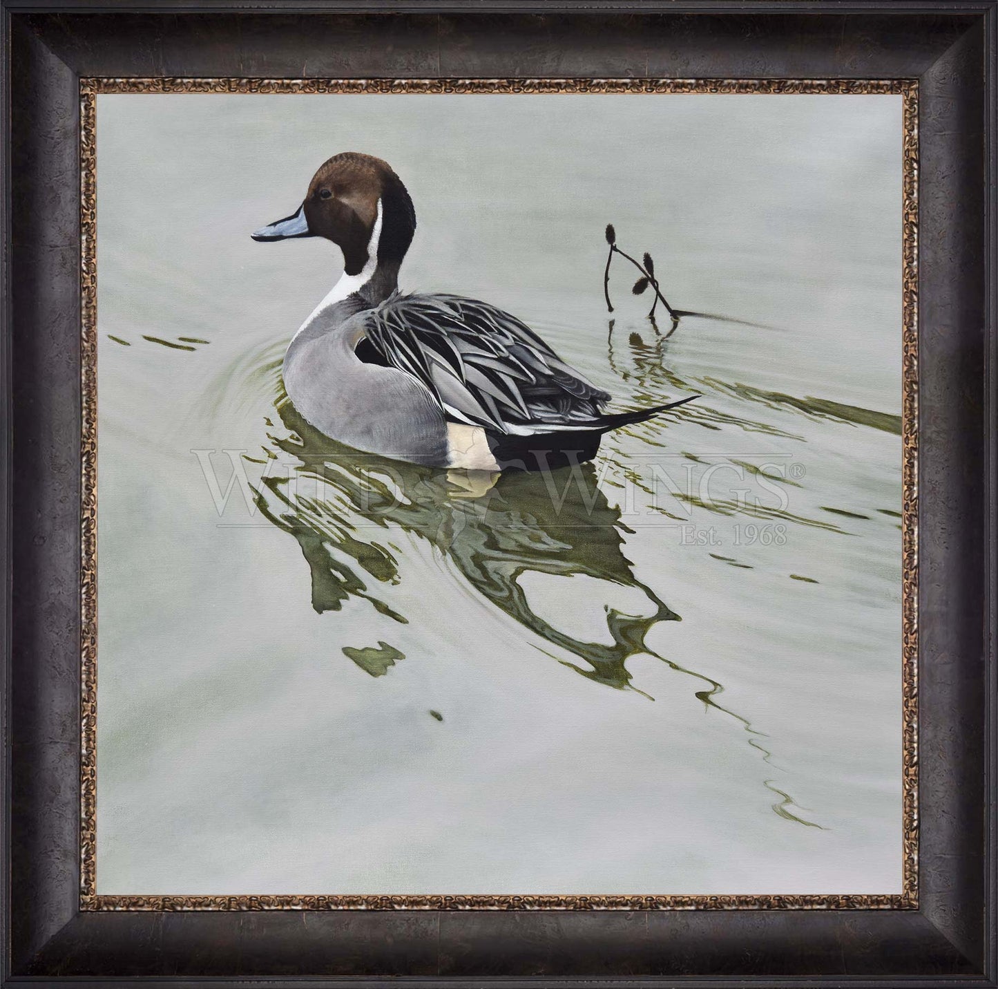 Framed duck in the river