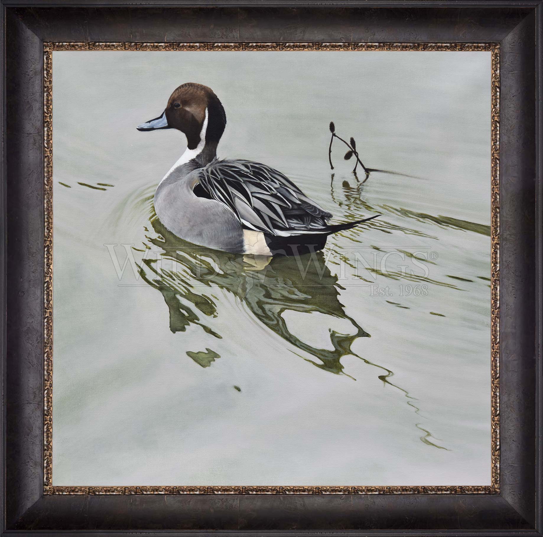 Framed duck in the river