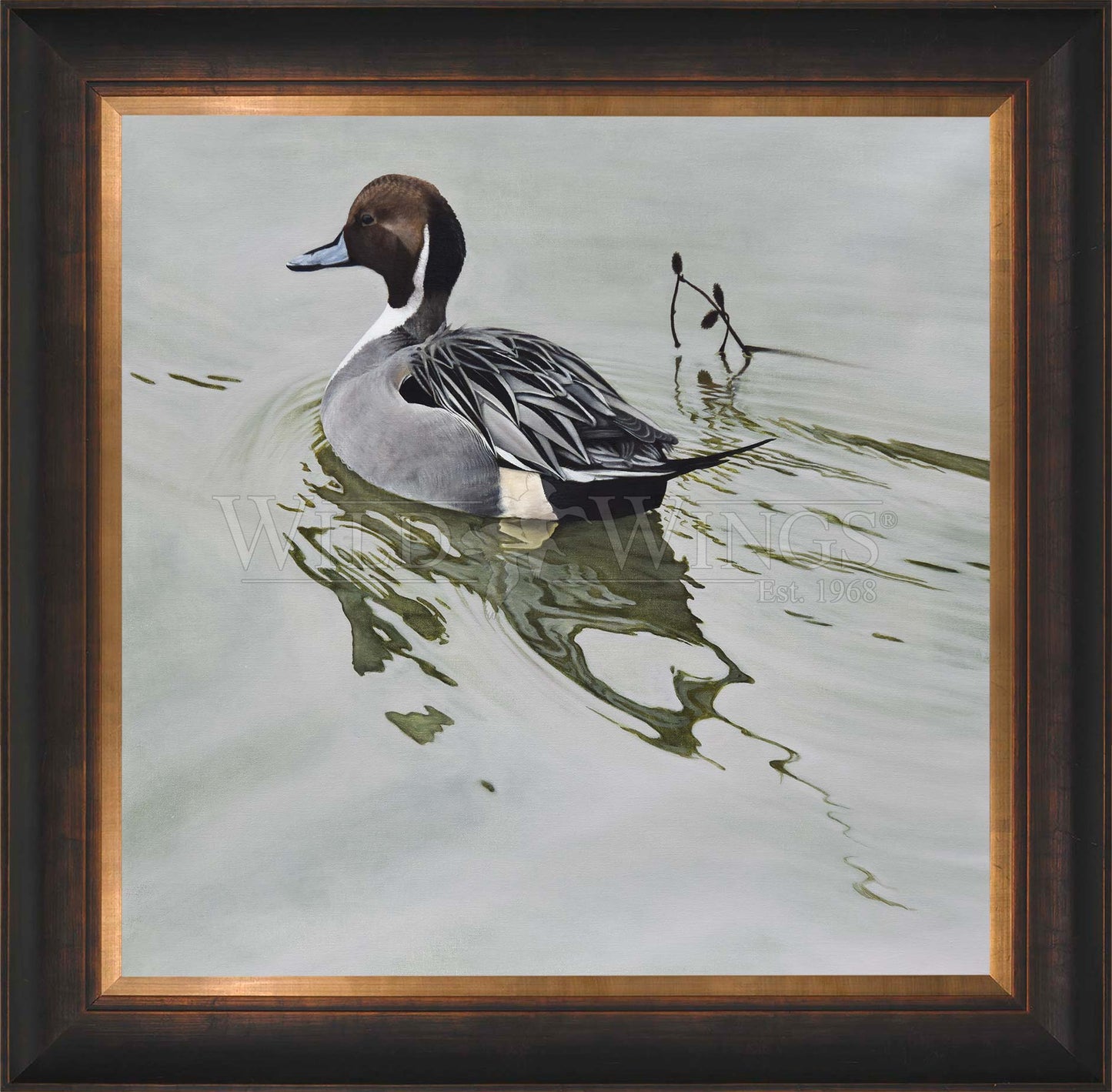 Framed image of a duck in waters