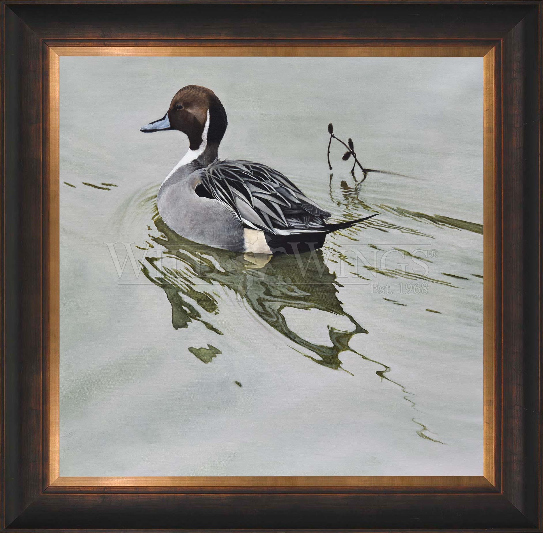 Framed image of a duck in waters