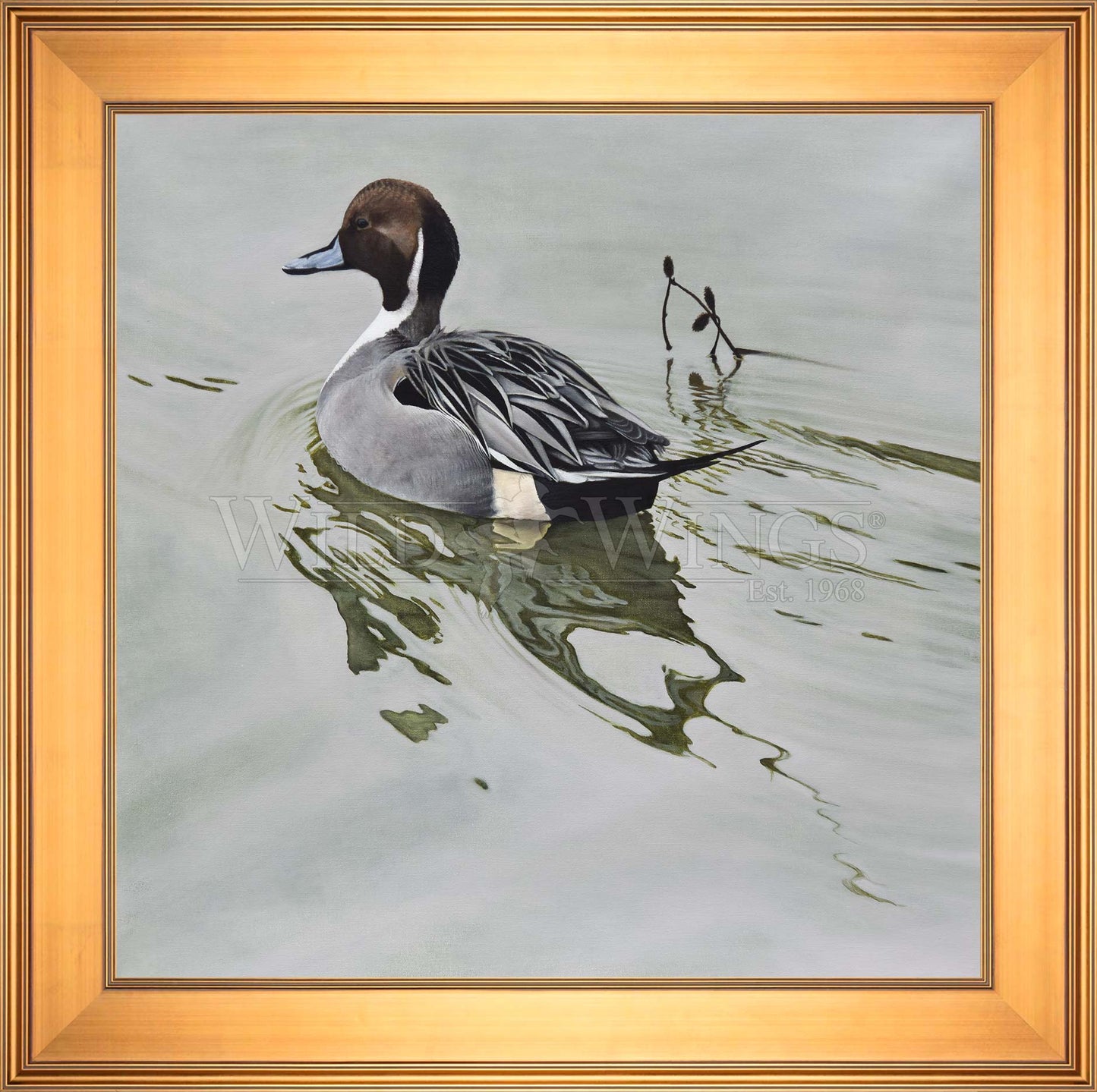 Framed image of a duck in waters