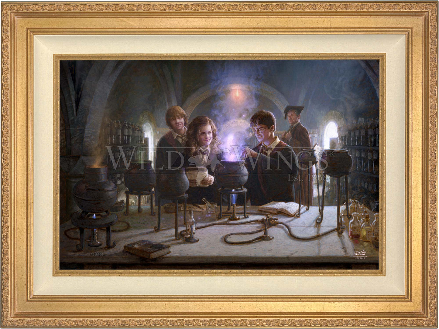 Harry Potter™ Potions Class - Limited Edition Canvas