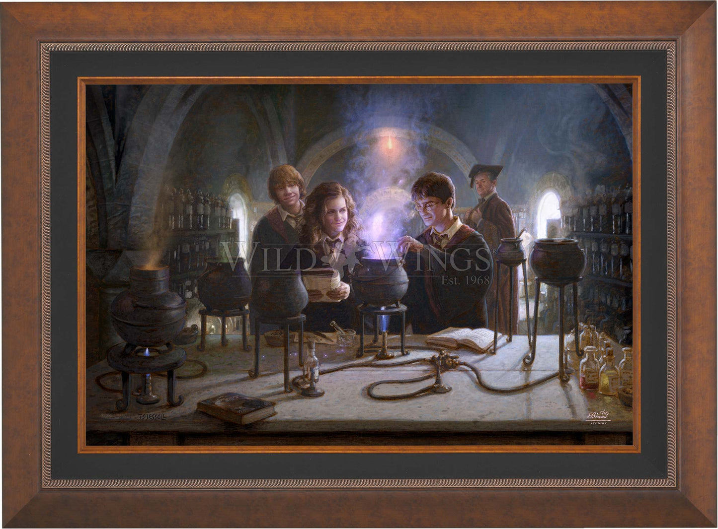 Harry Potter™ Potions Class - Limited Edition Canvas