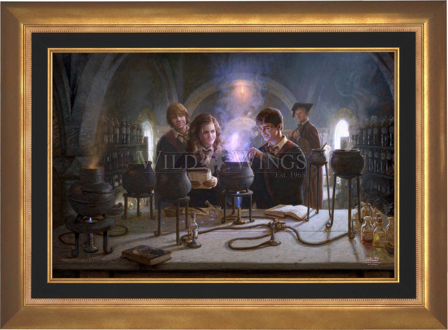 Harry Potter™ Potions Class - Limited Edition Canvas