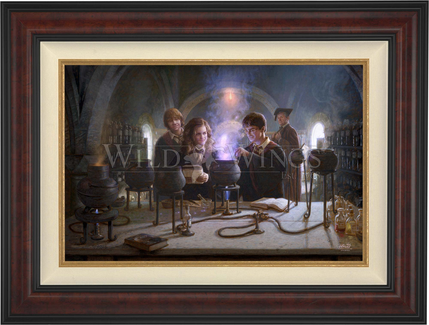 Harry Potter™ Potions Class - Limited Edition Canvas
