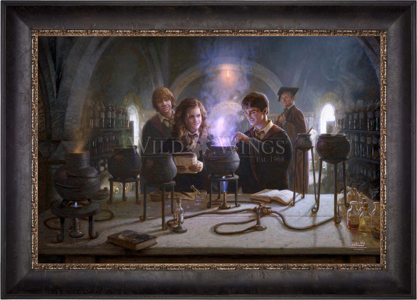Harry Potter™ Potions Class - Limited Edition Canvas