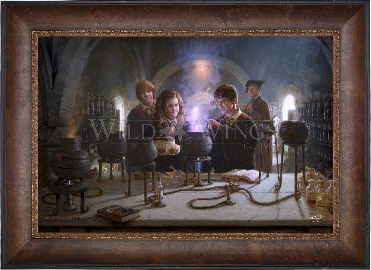 Harry Potter™ Potions Class - Limited Edition Canvas