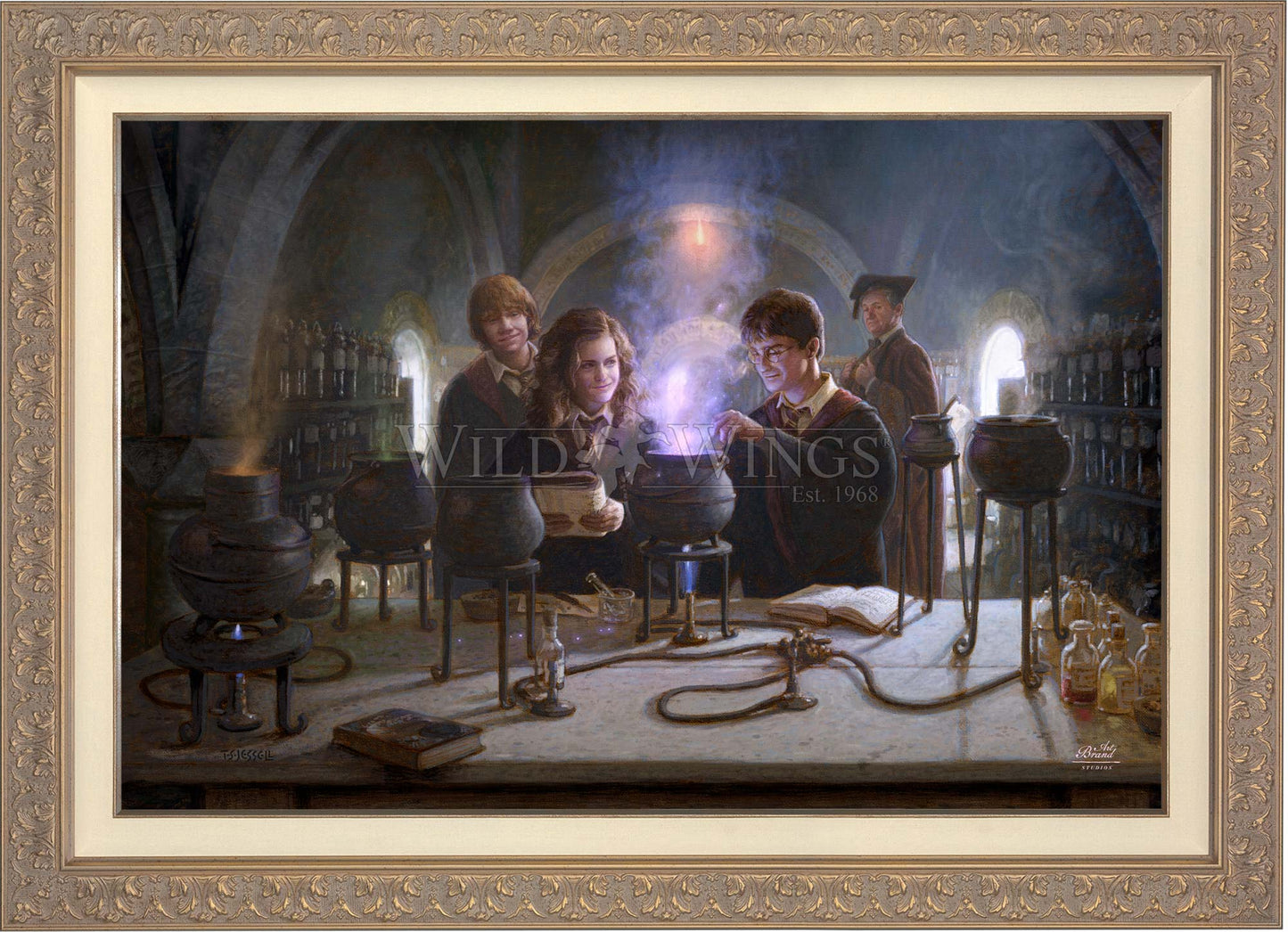 Harry Potter™ Potions Class - Limited Edition Canvas