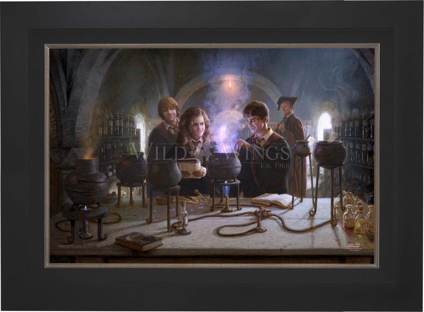 Harry Potter™ Potions Class - Limited Edition Canvas