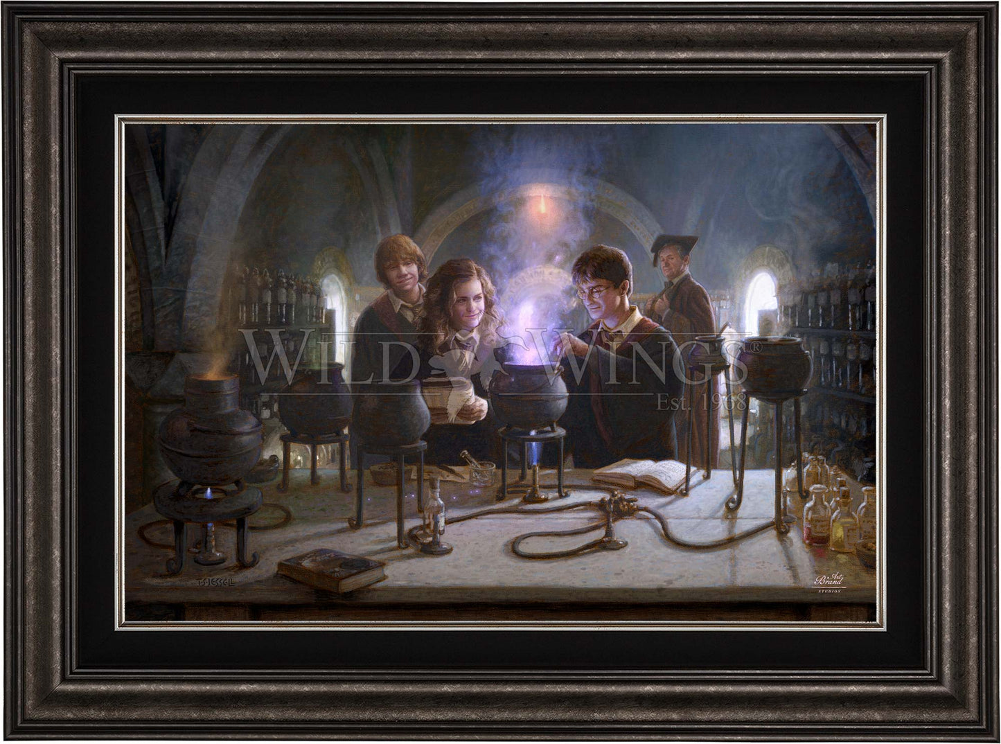 Harry Potter™ Potions Class - Limited Edition Canvas