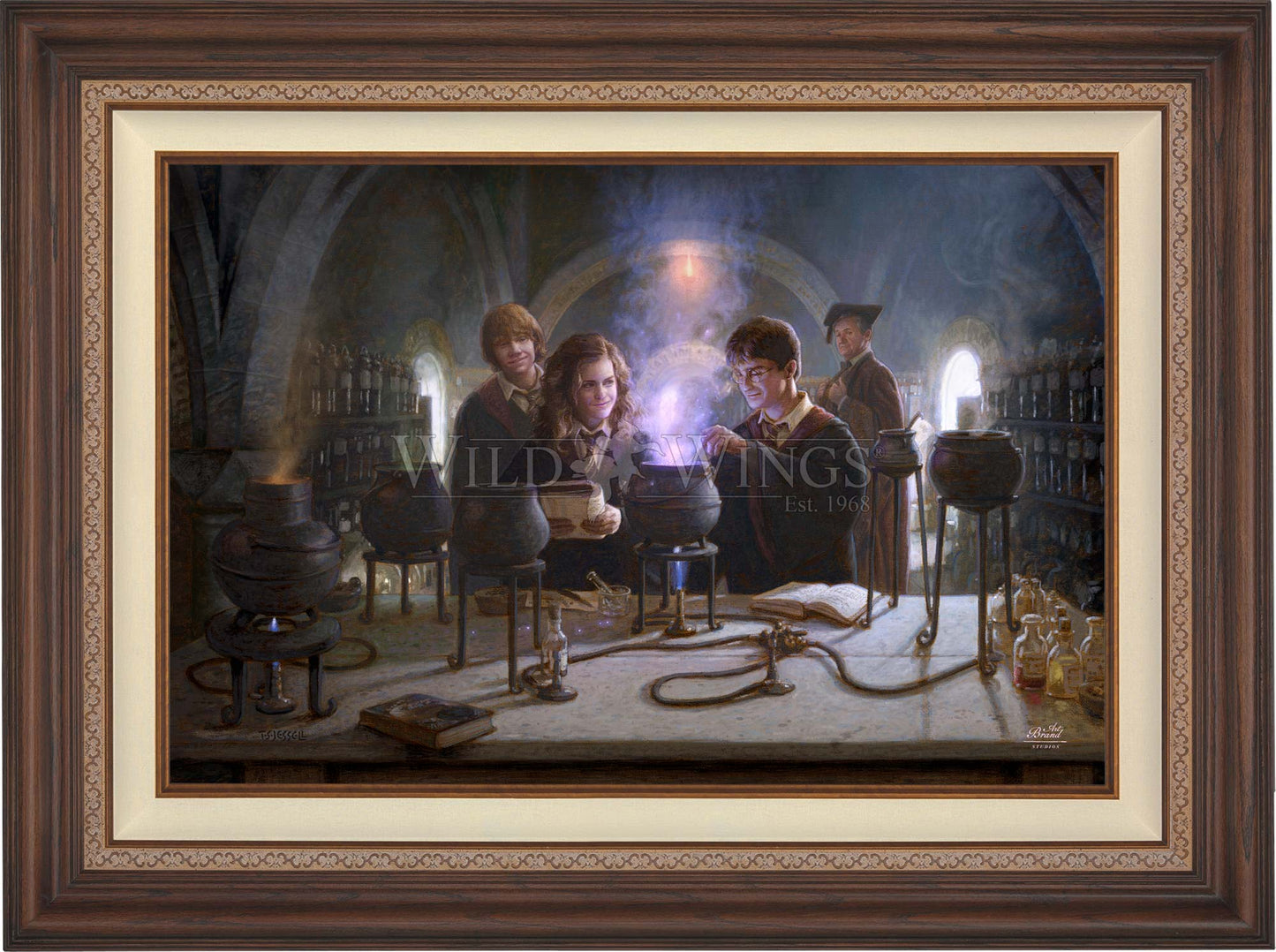 Harry Potter™ Potions Class - Limited Edition Canvas