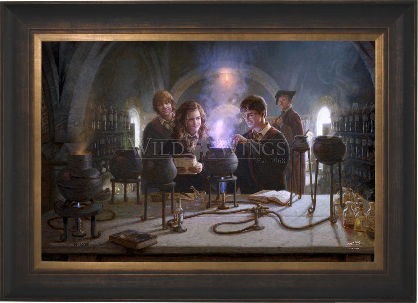 Harry Potter™ Potions Class - Limited Edition Canvas