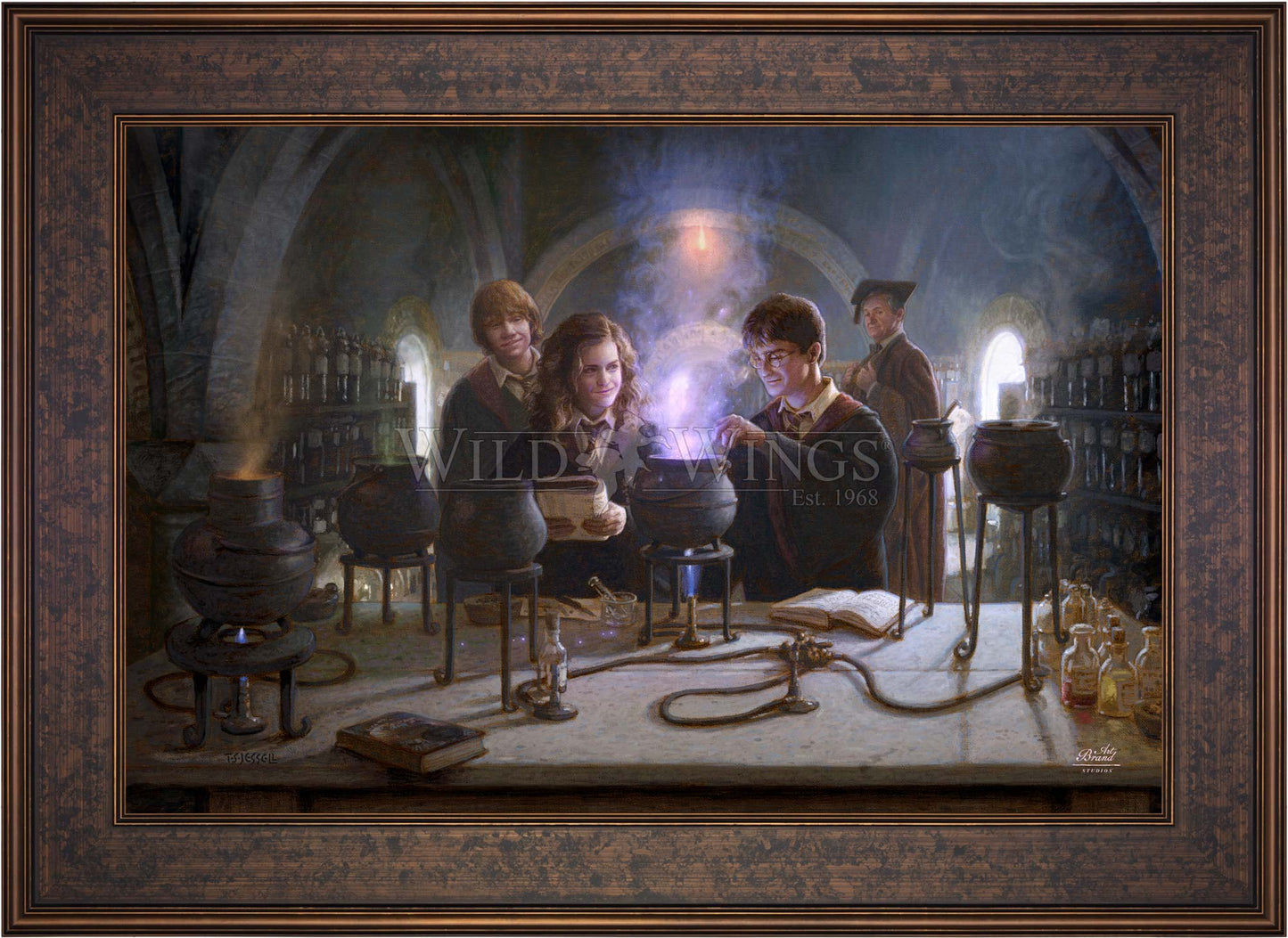 Harry Potter™ Potions Class - Limited Edition Canvas