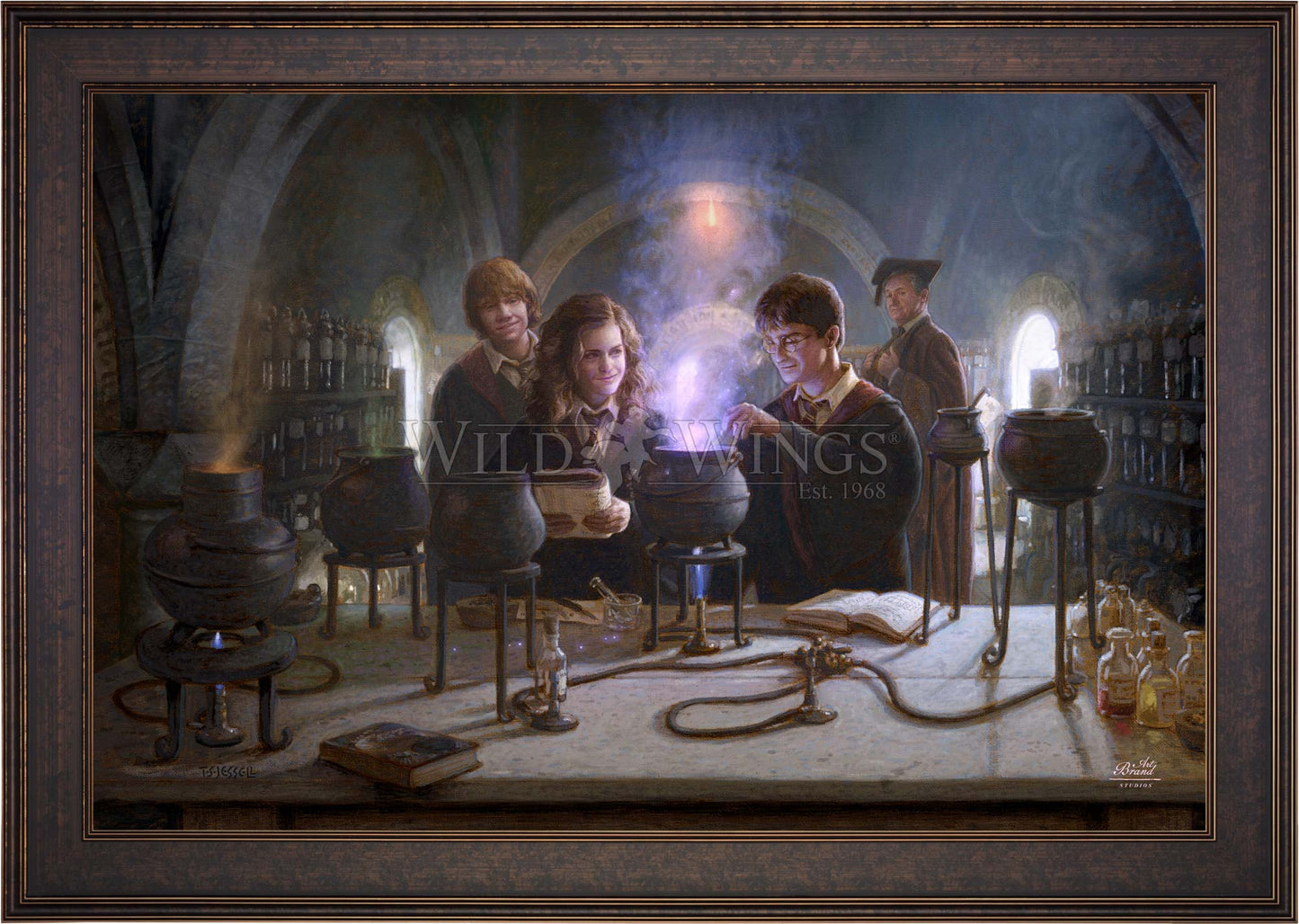 Harry Potter™ Potions Class - Limited Edition Canvas