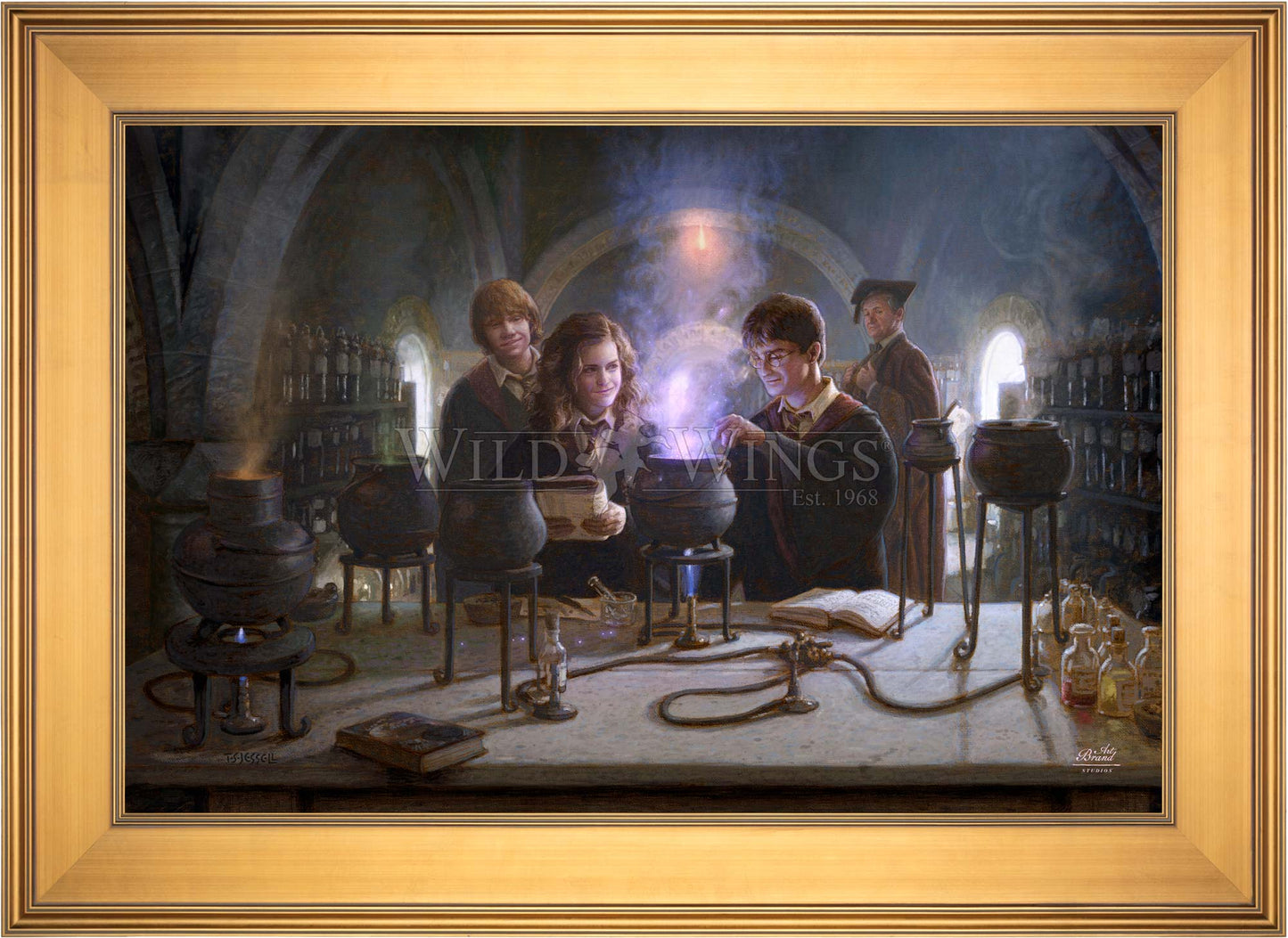 Harry Potter™ Potions Class - Limited Edition Canvas