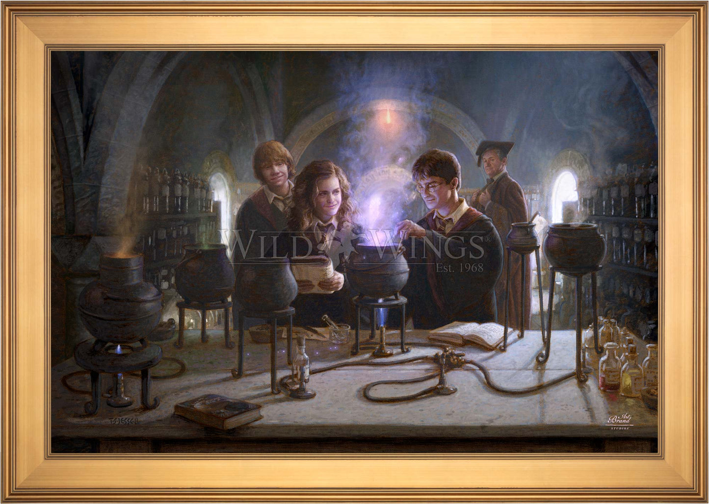 Harry Potter™ Potions Class - Limited Edition Canvas