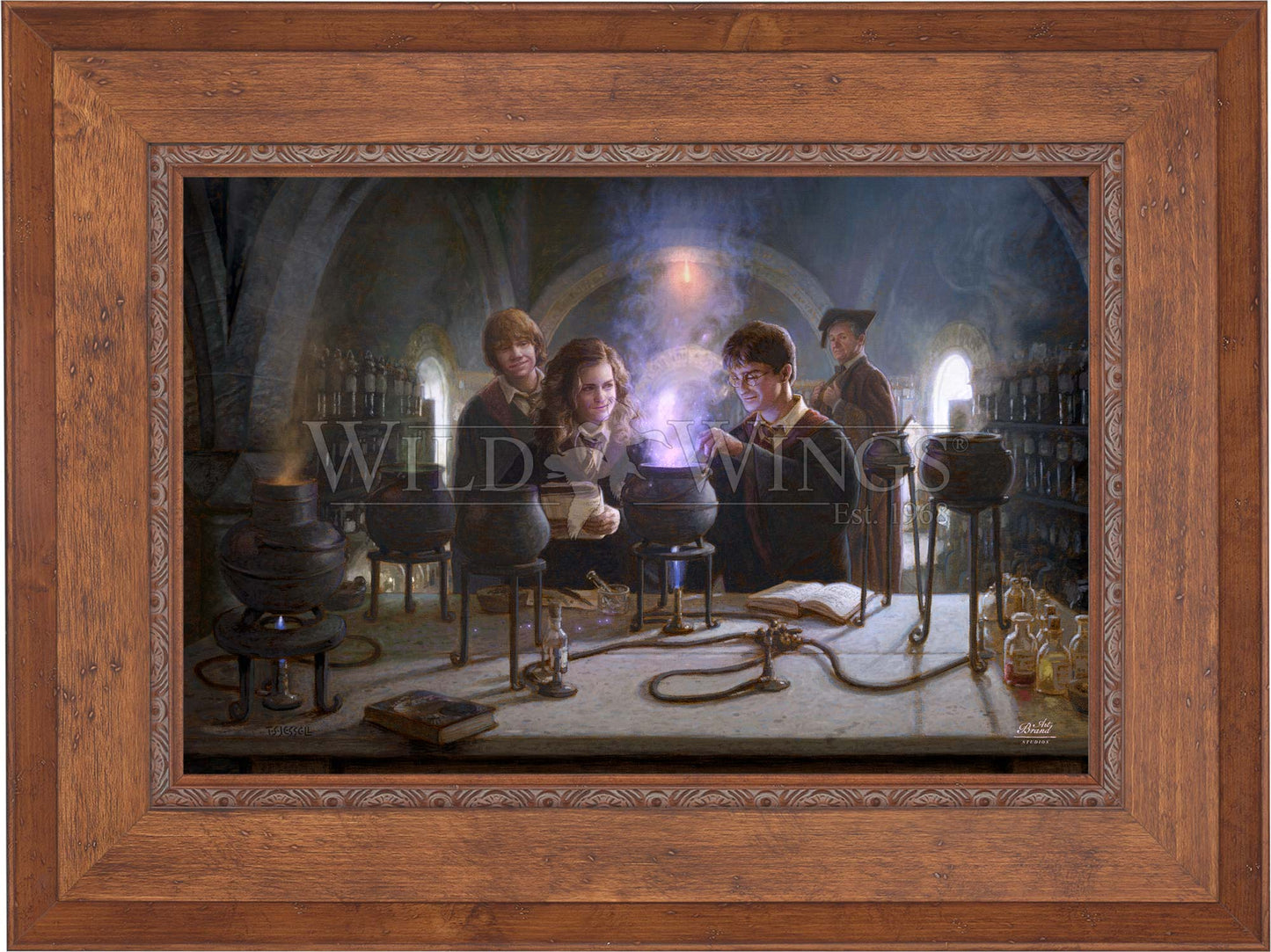 Harry Potter™ Potions Class - Limited Edition Canvas