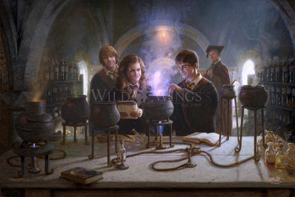 Harry Potter™ Potions Class - Limited Edition Canvas