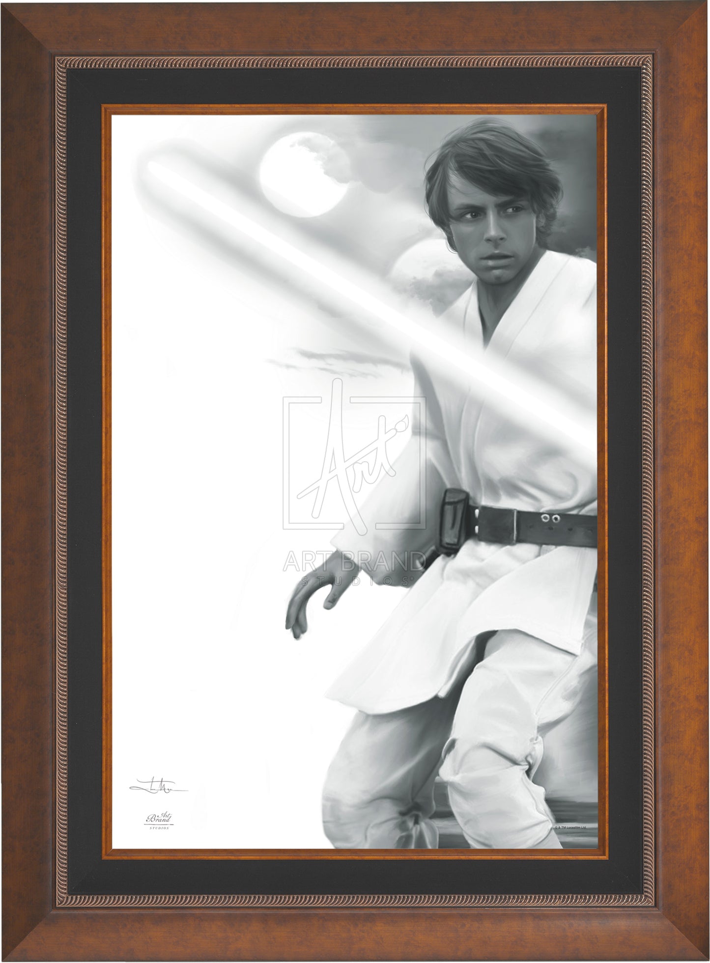 The Son - Star Wars: A New Hope™ - Limited Edition Canvas