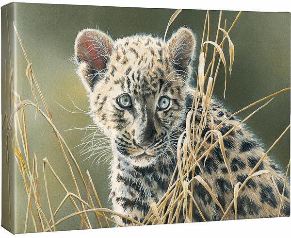 Cat Eyes - Leopard - 13" x 18" Gallery Wrapped Canvas