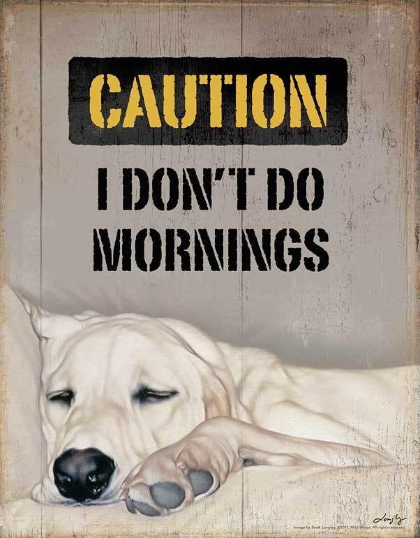 I Don't Do Mornings -  11.875" x 16.75" Tin Sign