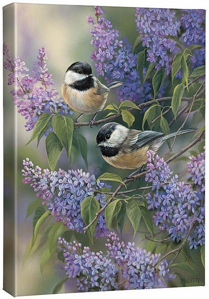 chickadees-lilacswc2millette-F593078437CGW_5b73e1c3-04fd-4910-a8c3-37867521a3b6.jpg