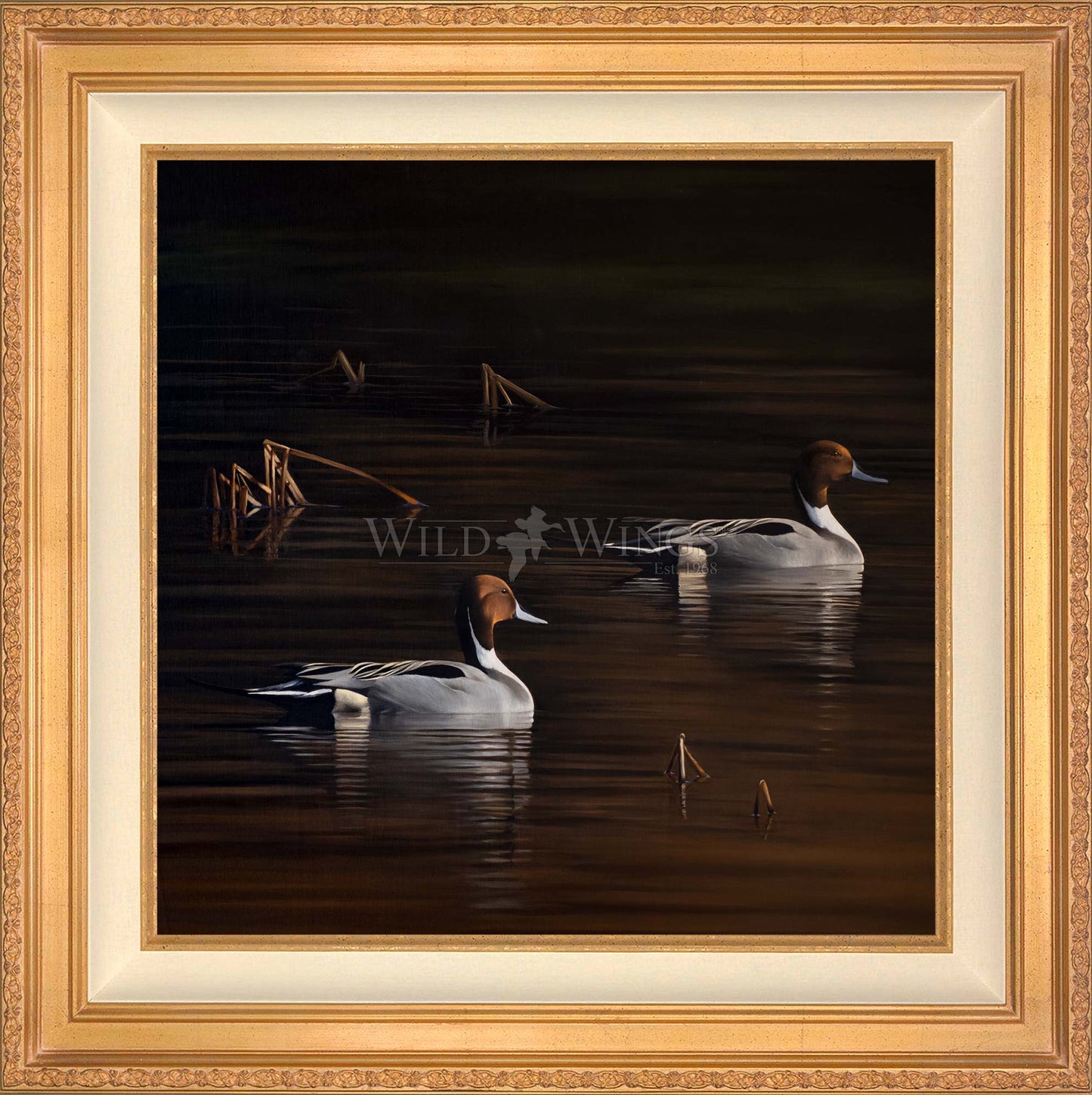 Framed ducks in the river