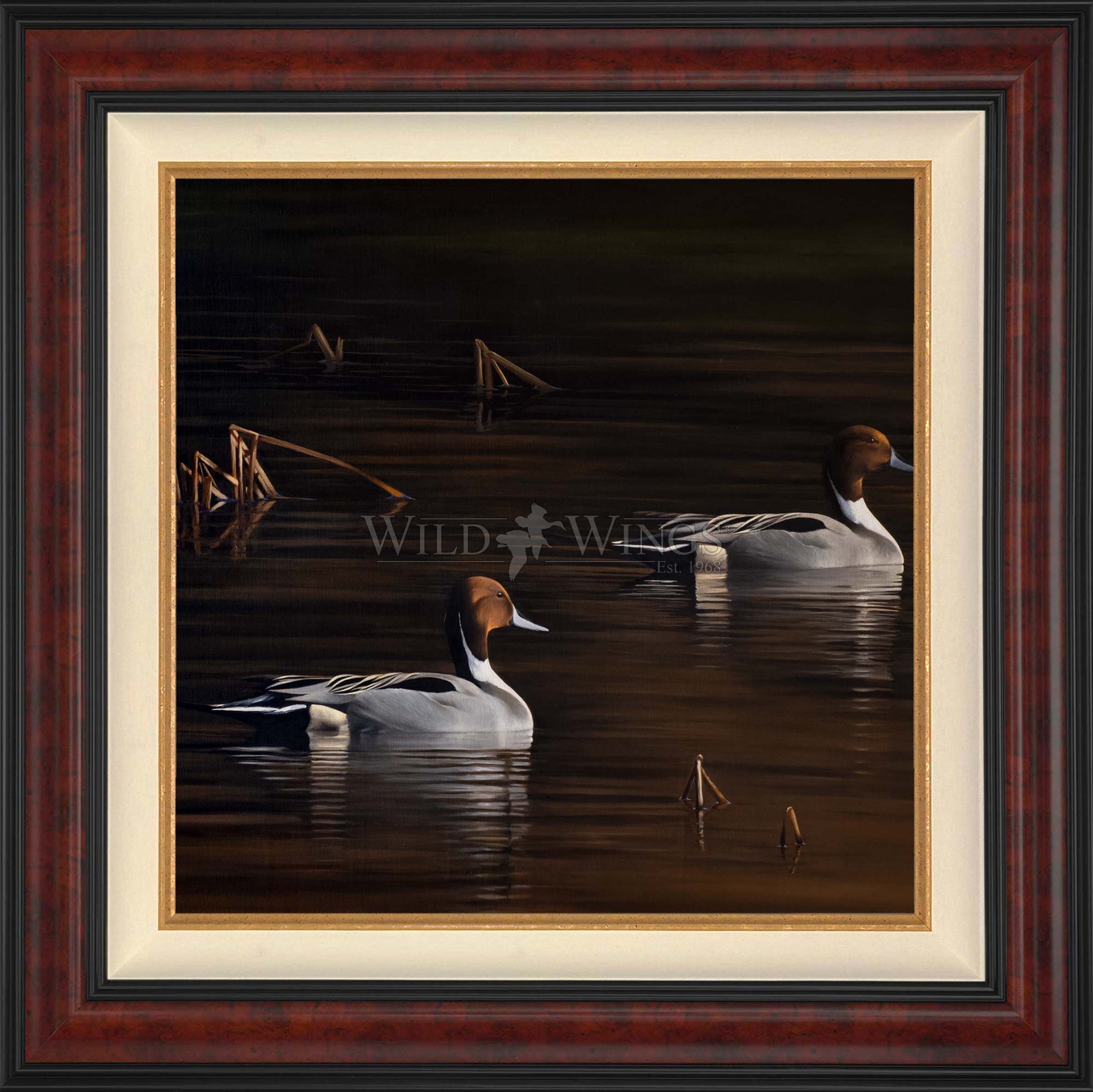 Framed ducks in the river