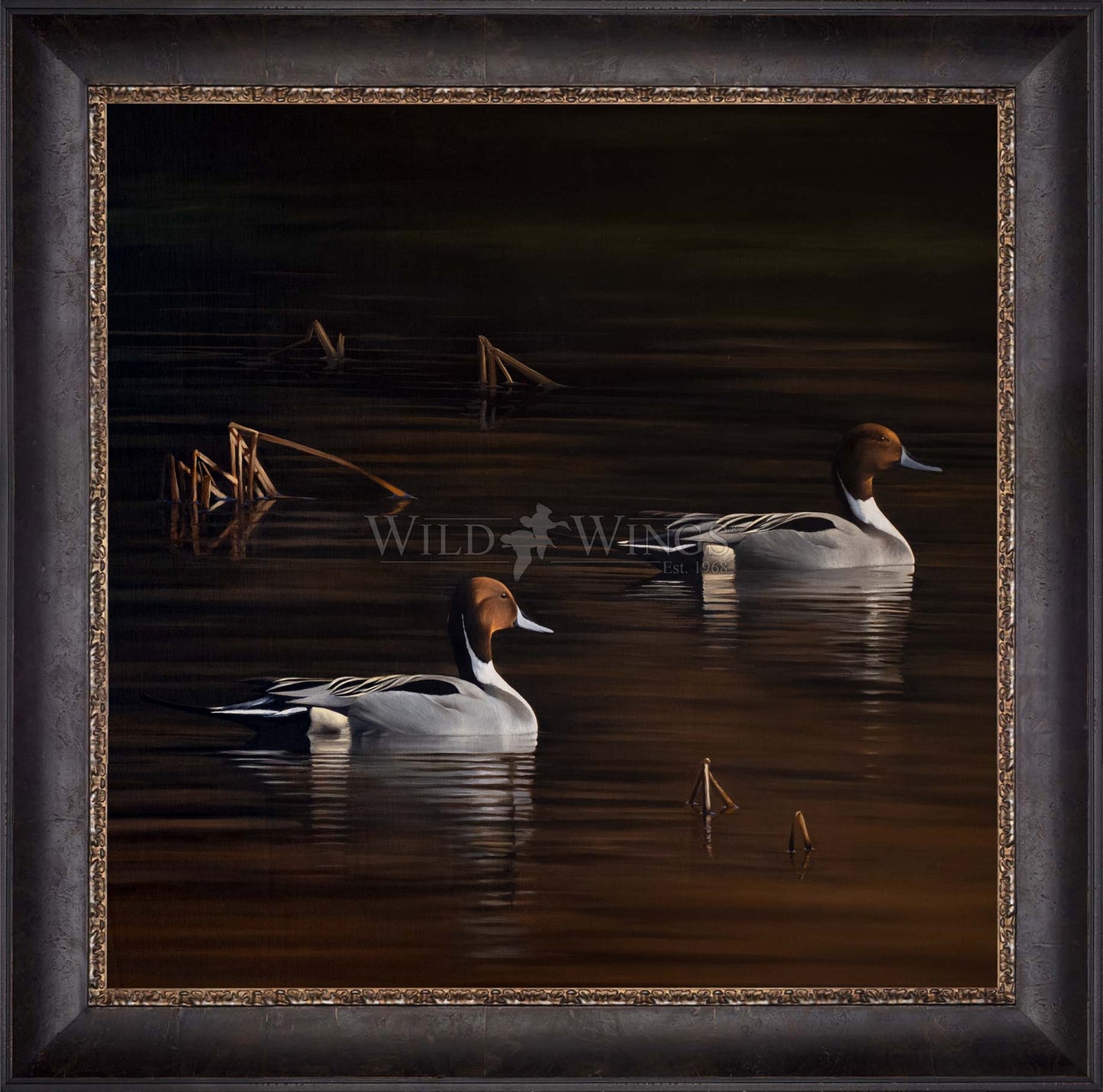 Framed ducks in the river