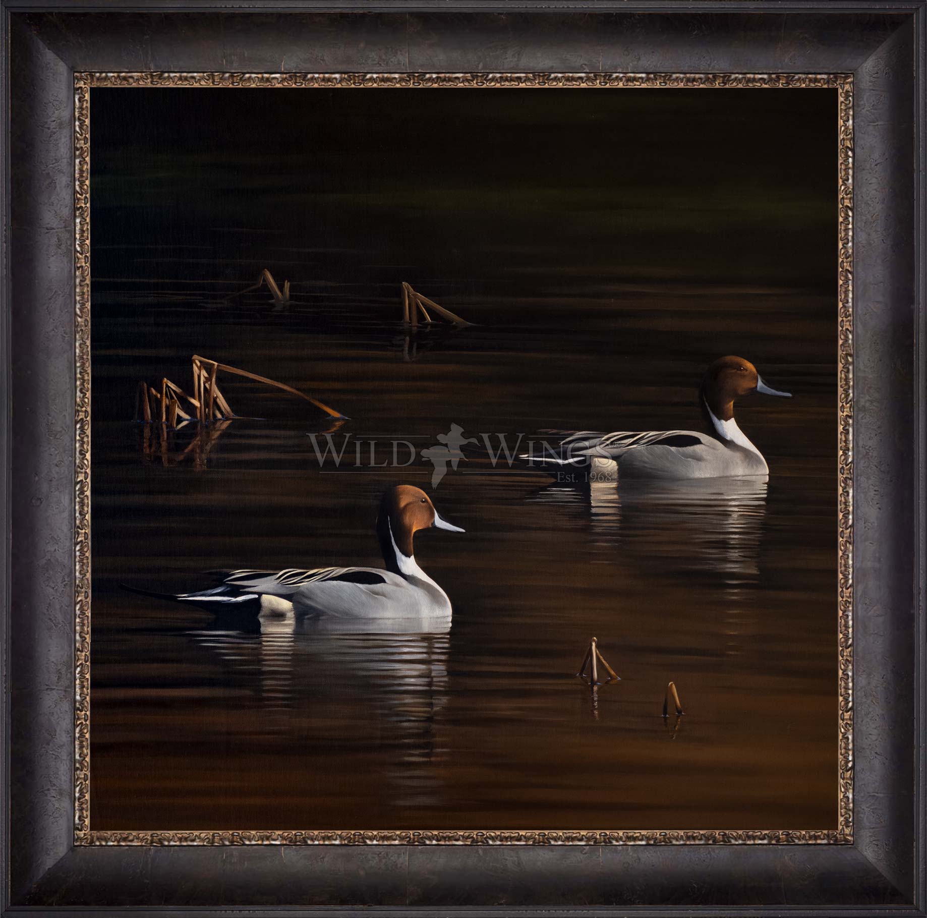 Framed ducks in the river