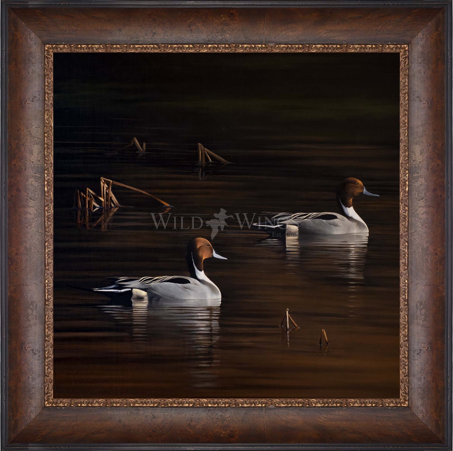 Framed ducks in the river