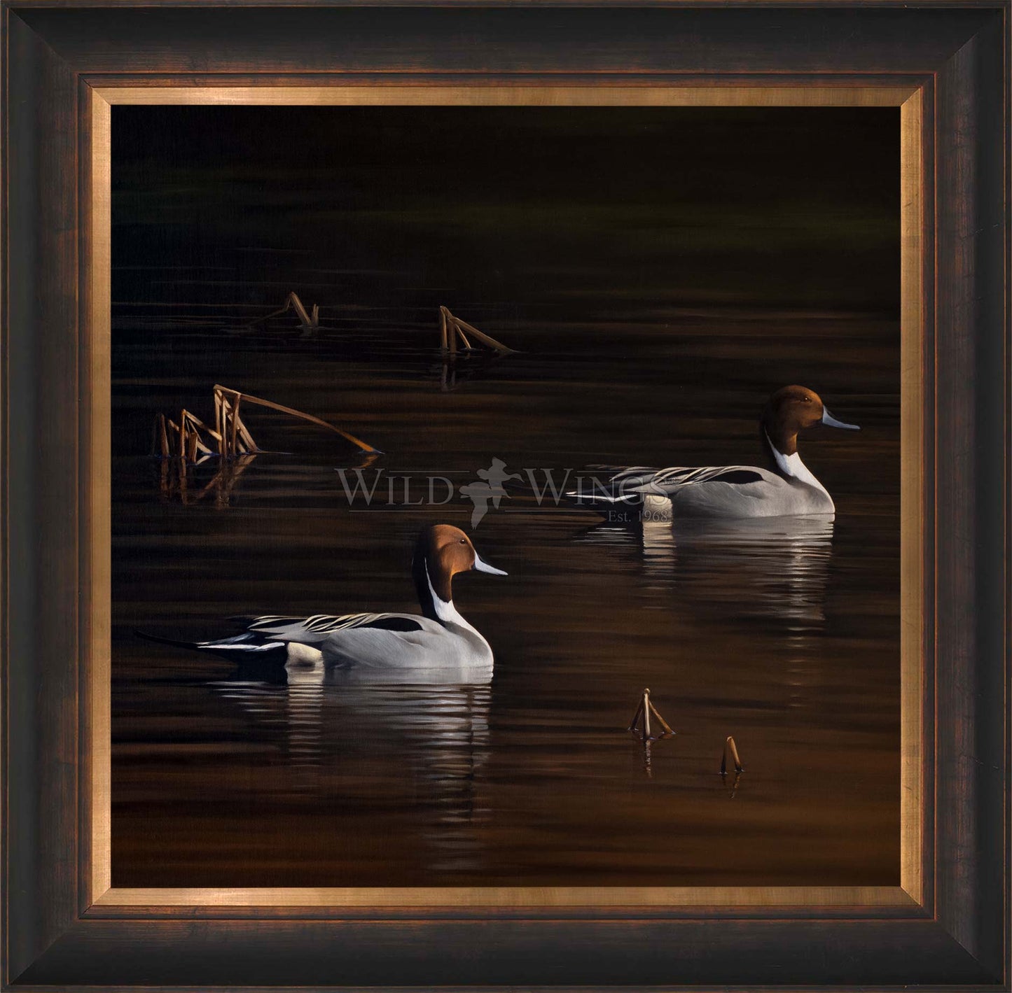 Framed ducks in the river
