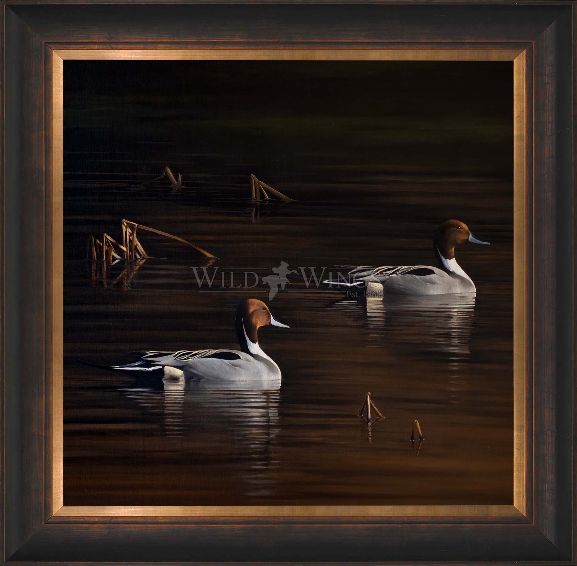 Framed ducks in the river