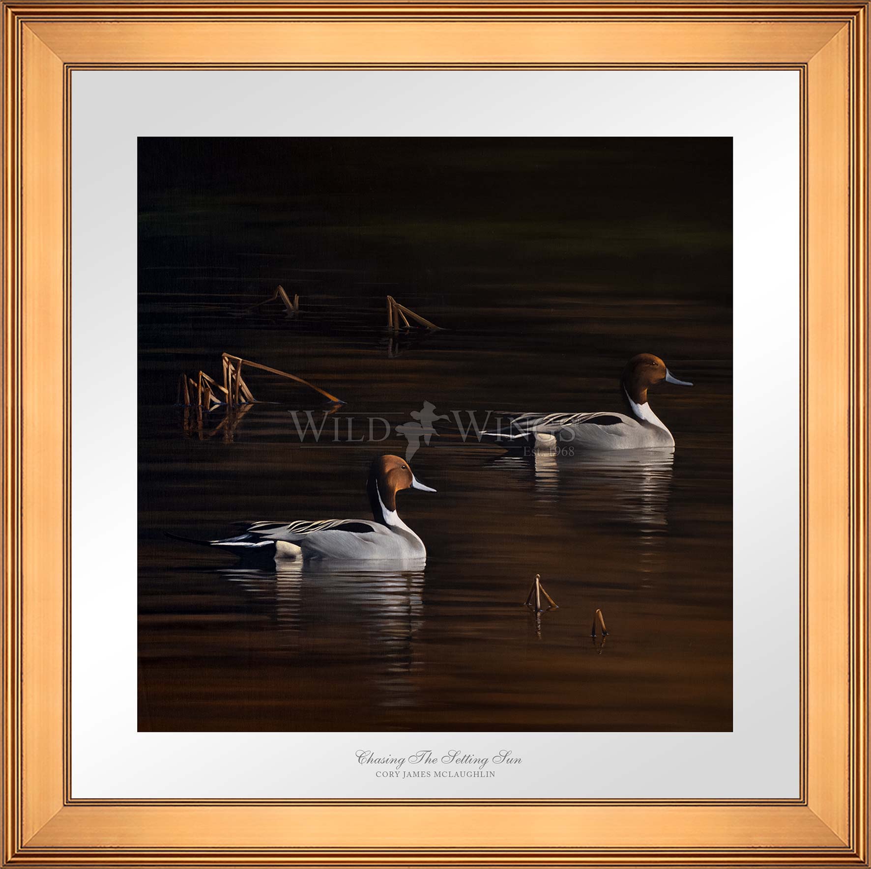 Framed ducks in the river