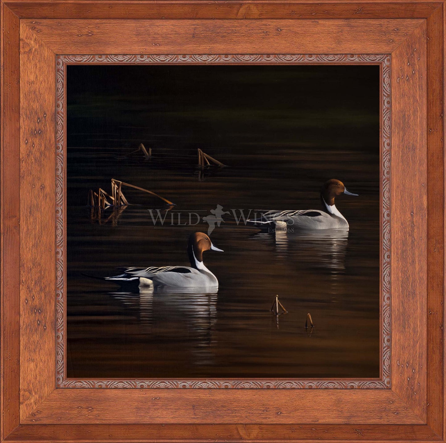 Framed ducks in the river