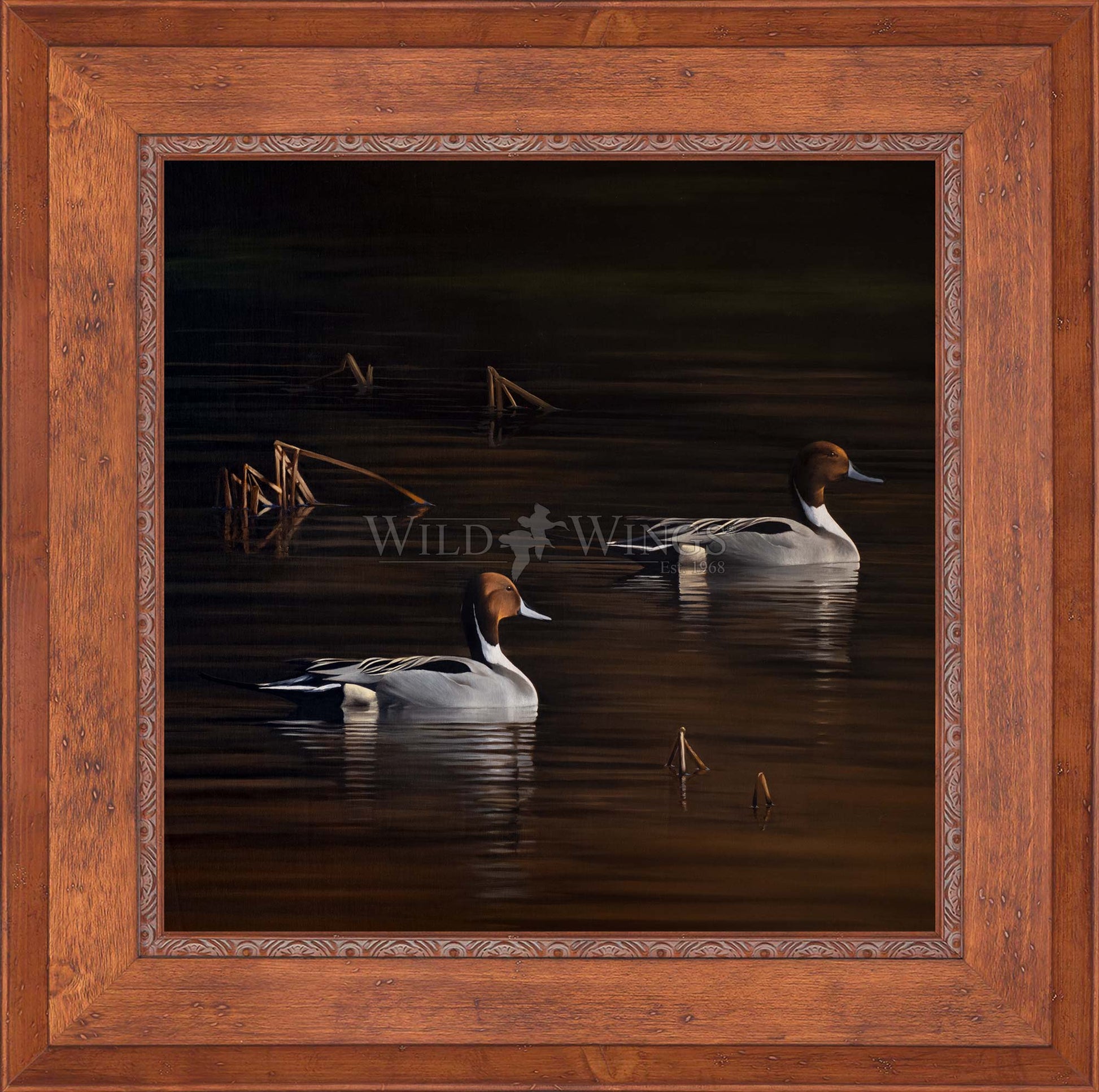 Framed ducks in the river