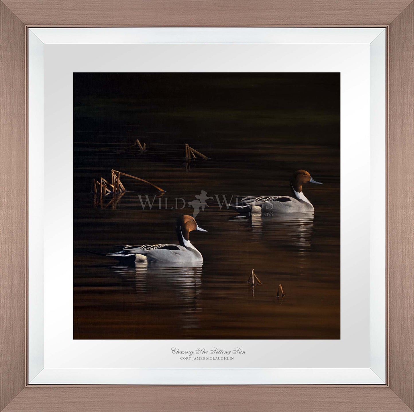 Framed ducks in the river