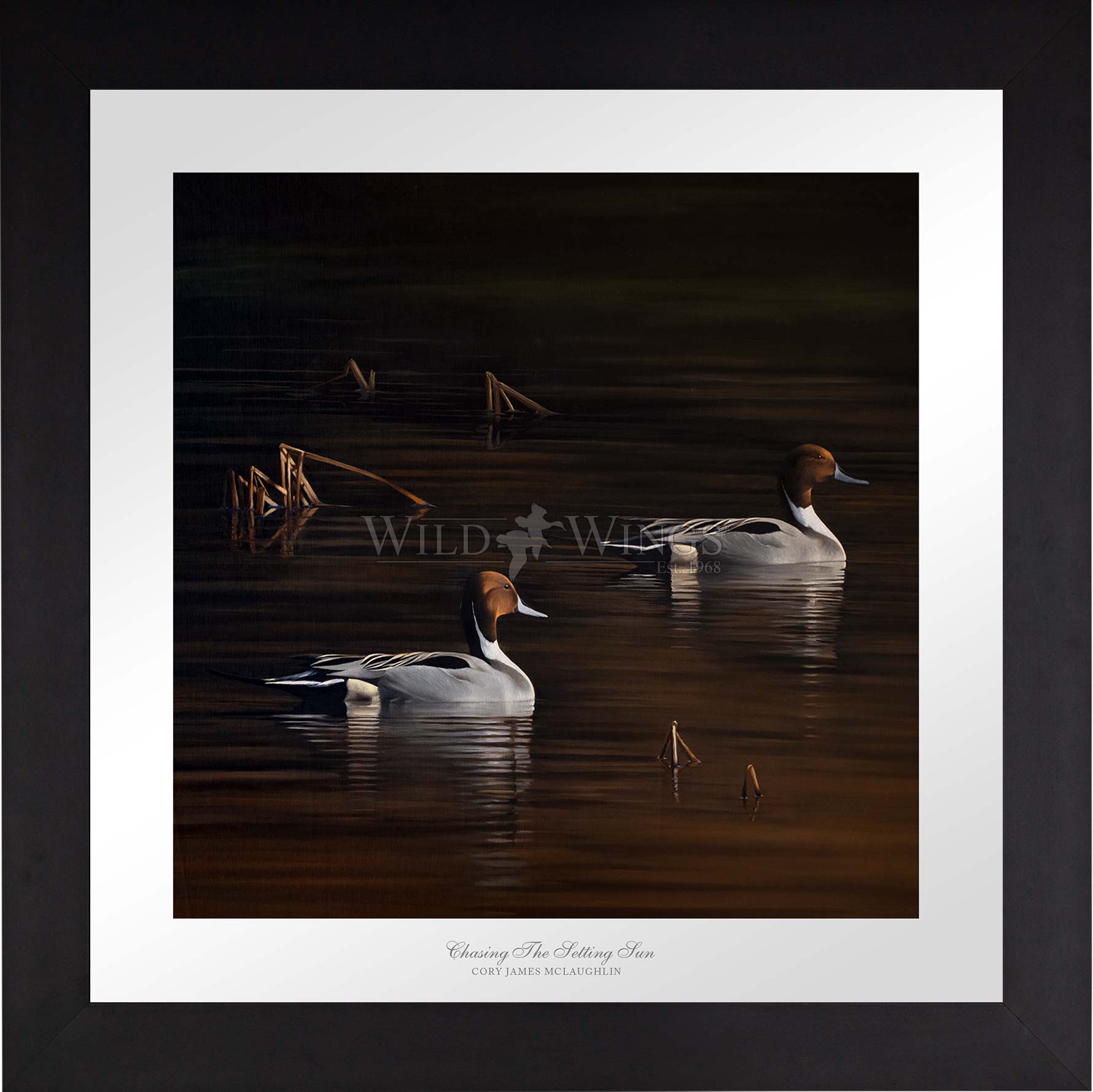 Framed ducks in the river