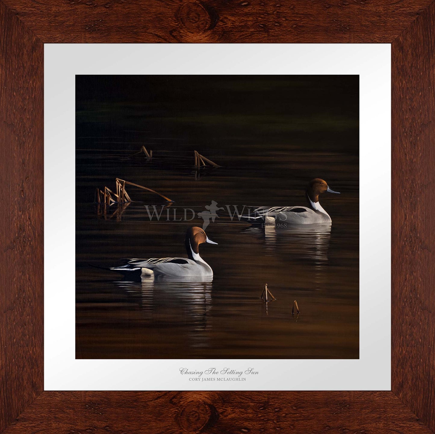 Framed ducks in the river