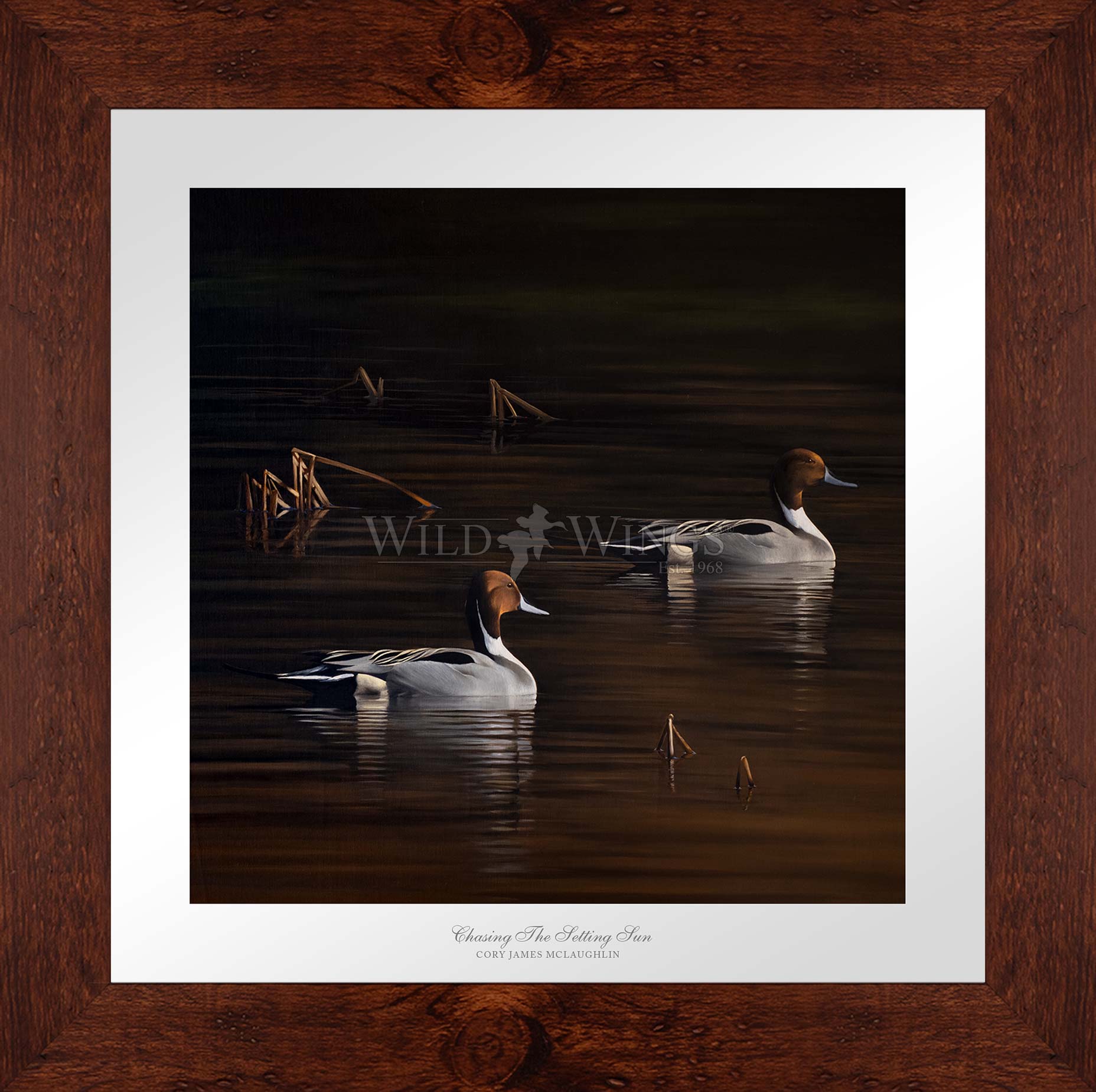 Framed ducks in the river