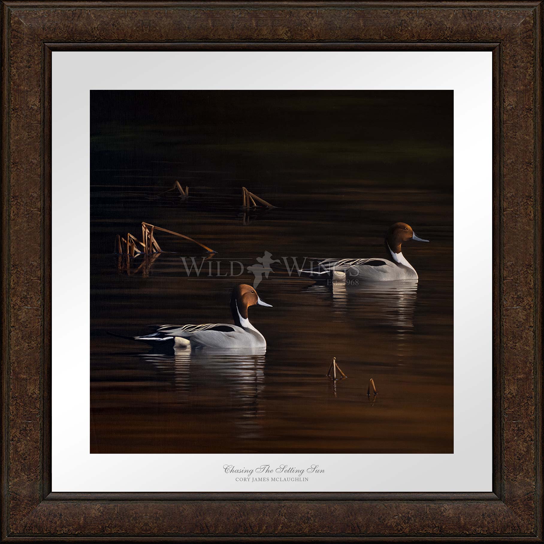 Framed ducks in the river