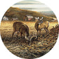 coaster_sharing_the_bounty_terry_redlin_4209097515d_a5e28ea0-d56f-4e91-a52a-3b86e8a2d67f.jpg
