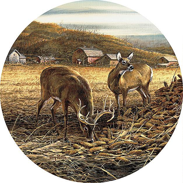 coaster_sharing_the_bounty_terry_redlin_4209097515d_a5e28ea0-d56f-4e91-a52a-3b86e8a2d67f.jpg