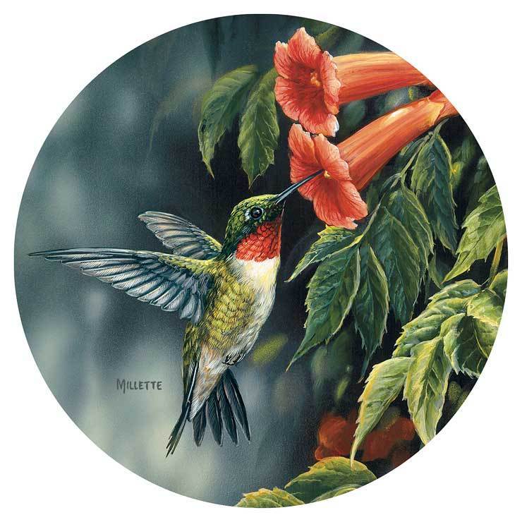 coaster_summer_ruby_throated_hummingbird_bourdet_coasters_4209101041d_8877378e-ecad-4d03-a026-00db17e1c9e1.jpg